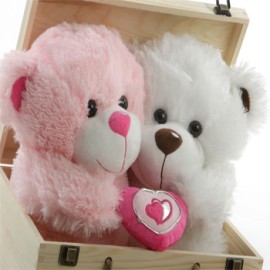 Love Bears (4)