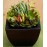 Deluxe Succulent Garden