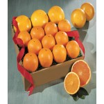 Best Navel Oranges