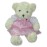 Bear with Pink Checkered Dress