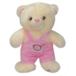 Bear with Pink Colored Jumper