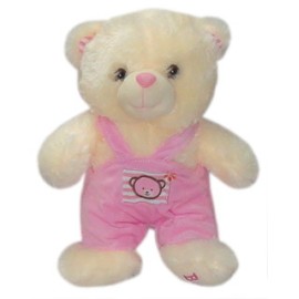 Bear with Pink Colored Jumper