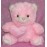 Pink Bear w/ Love Pillow