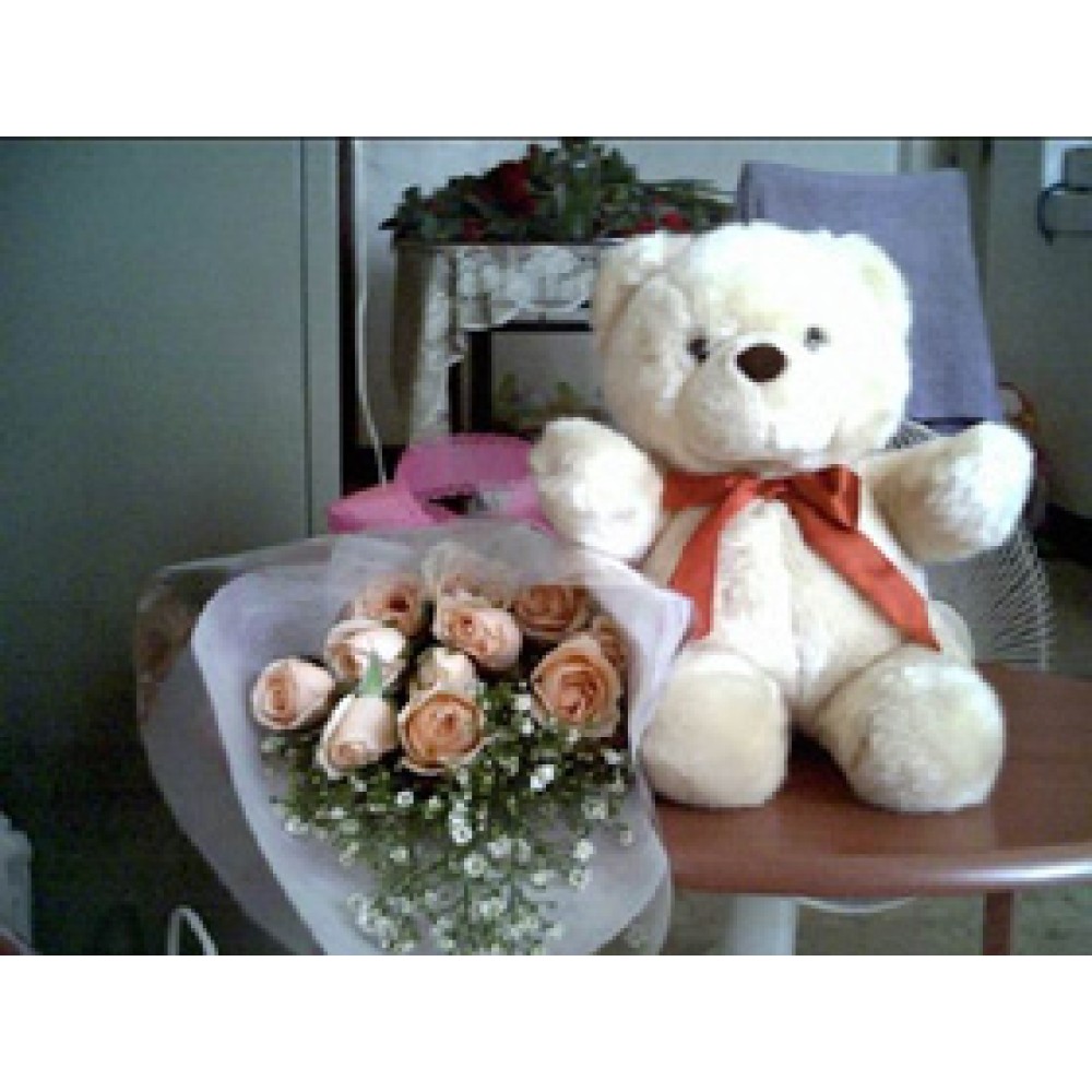 Bear w/ 1 dozen roses in a bouquet