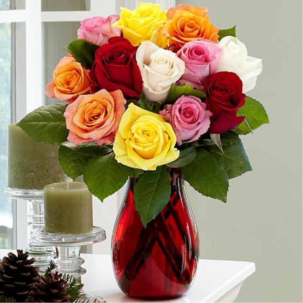 One Dozen Christmas Lights Roses