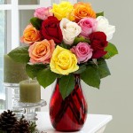 One Dozen Christmas Lights Roses