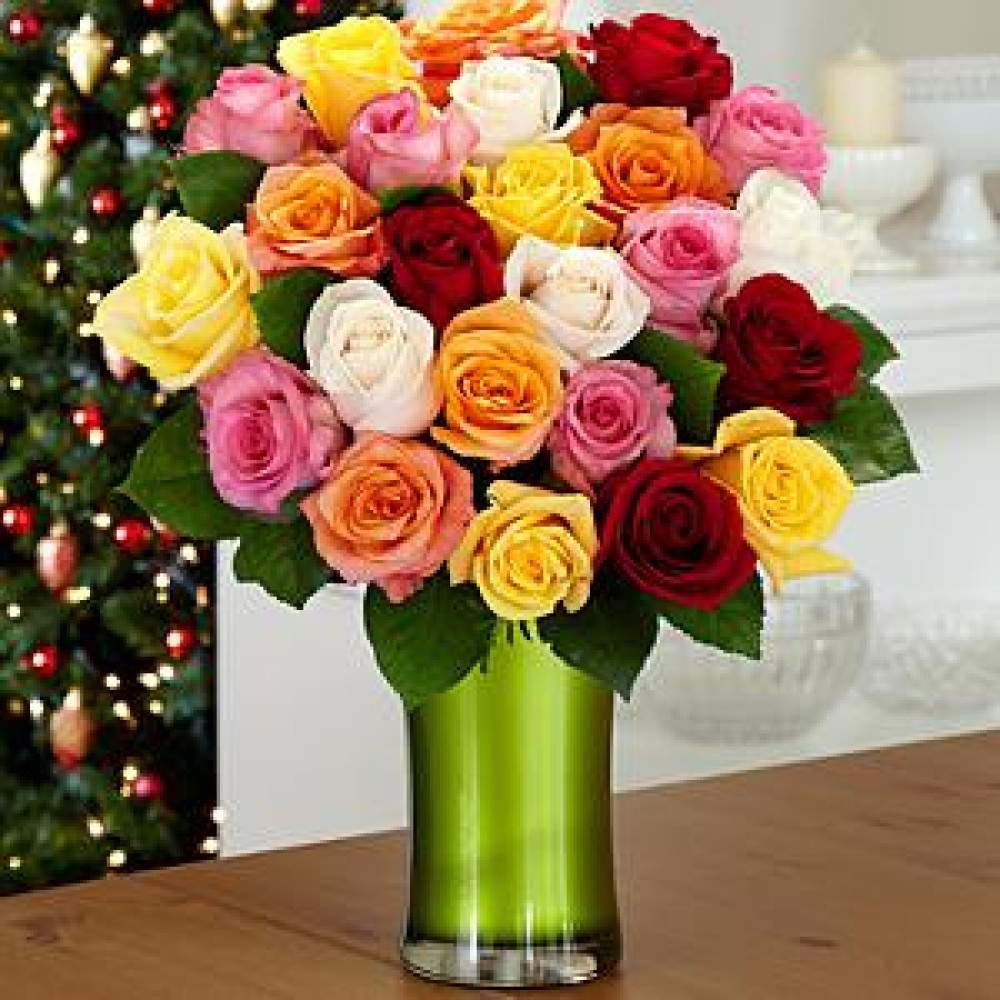 Two Dozen Christmas Lights Roses