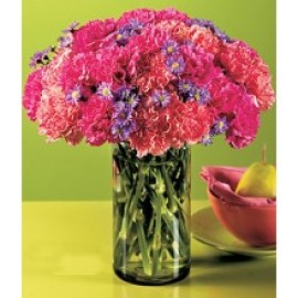  Bright carnations in a Bouquet