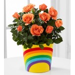 Rainbow Roads Mini Rose