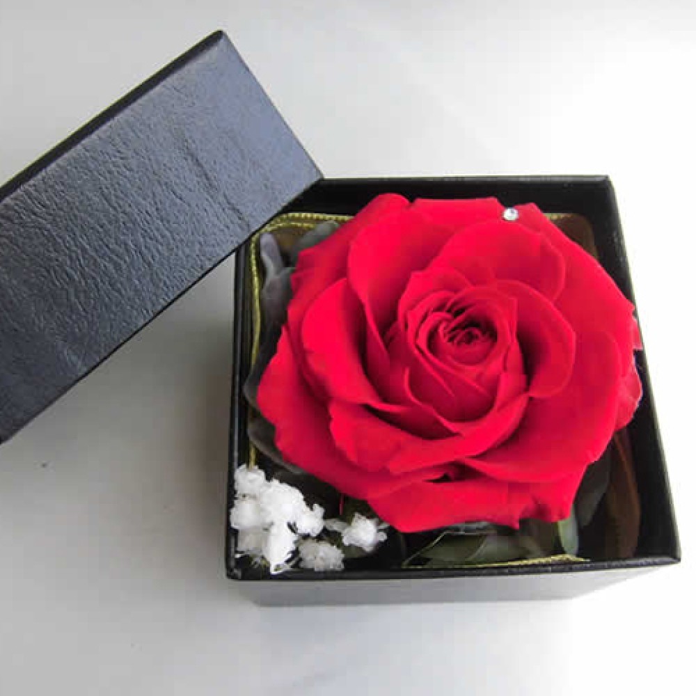 FOREVER RED ROSE IN A BOX