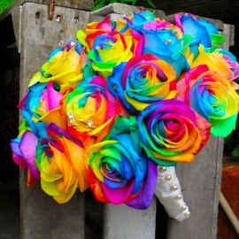 Rainbow Rose 1 Dozen