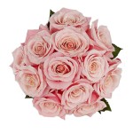 12 Pink Rose Bouquet 