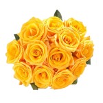 12 Yellow Rose Bouquet 