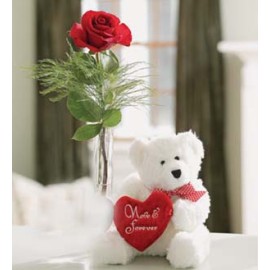 A Single Rose With Bear