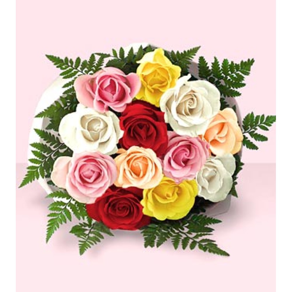 One Dozen Multi Colored Roses