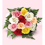 One Dozen Multi Colored Roses