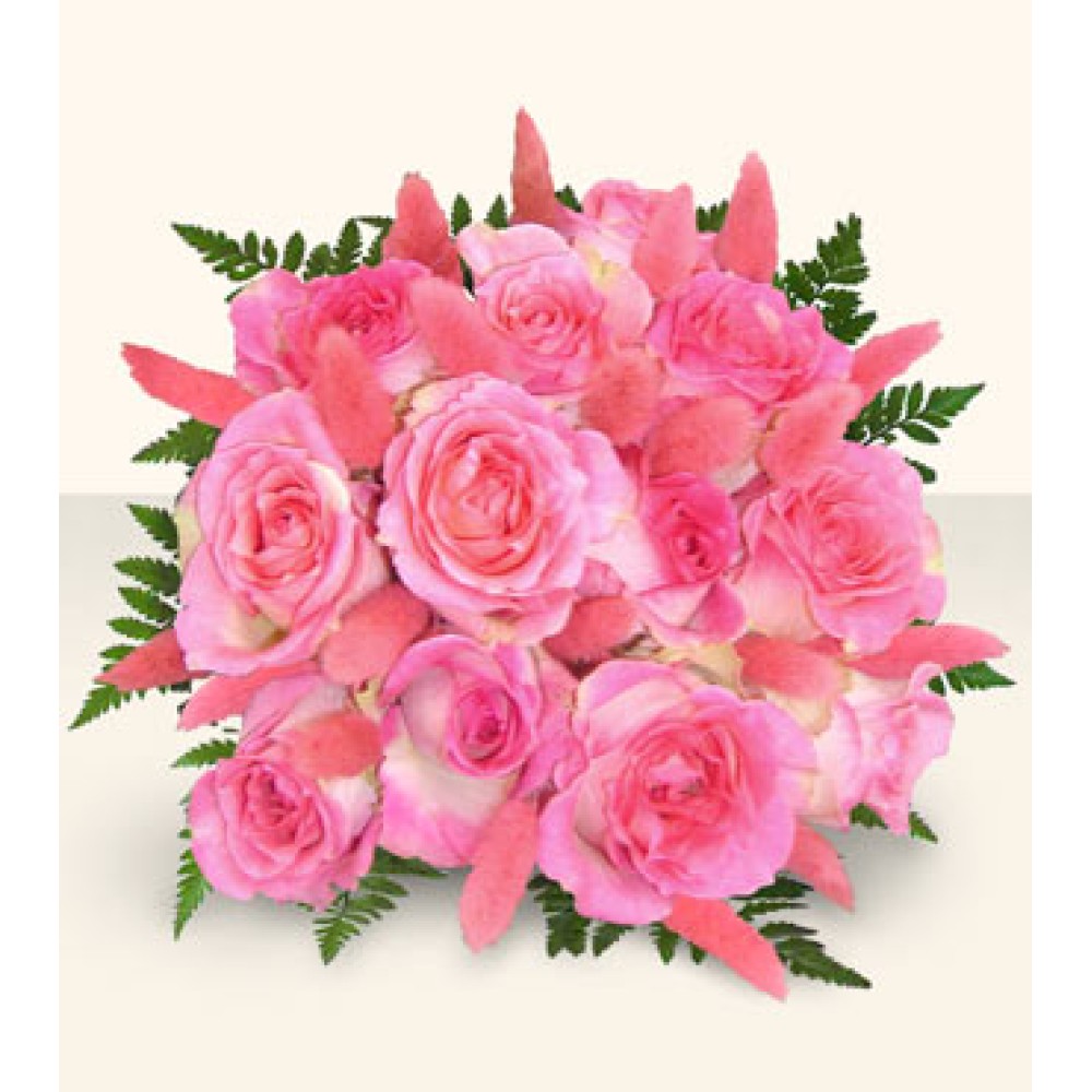 One Dozen Fresh Cut Pink Roses