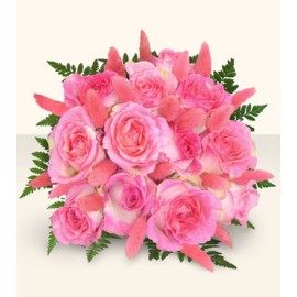 One Dozen Fresh Cut Pink Roses