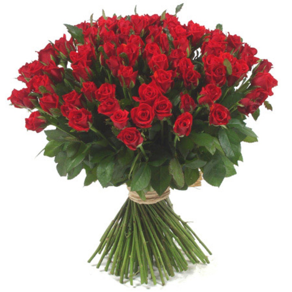 101 pcs Long Stemmed Fresh Cut Deep Red Roses 