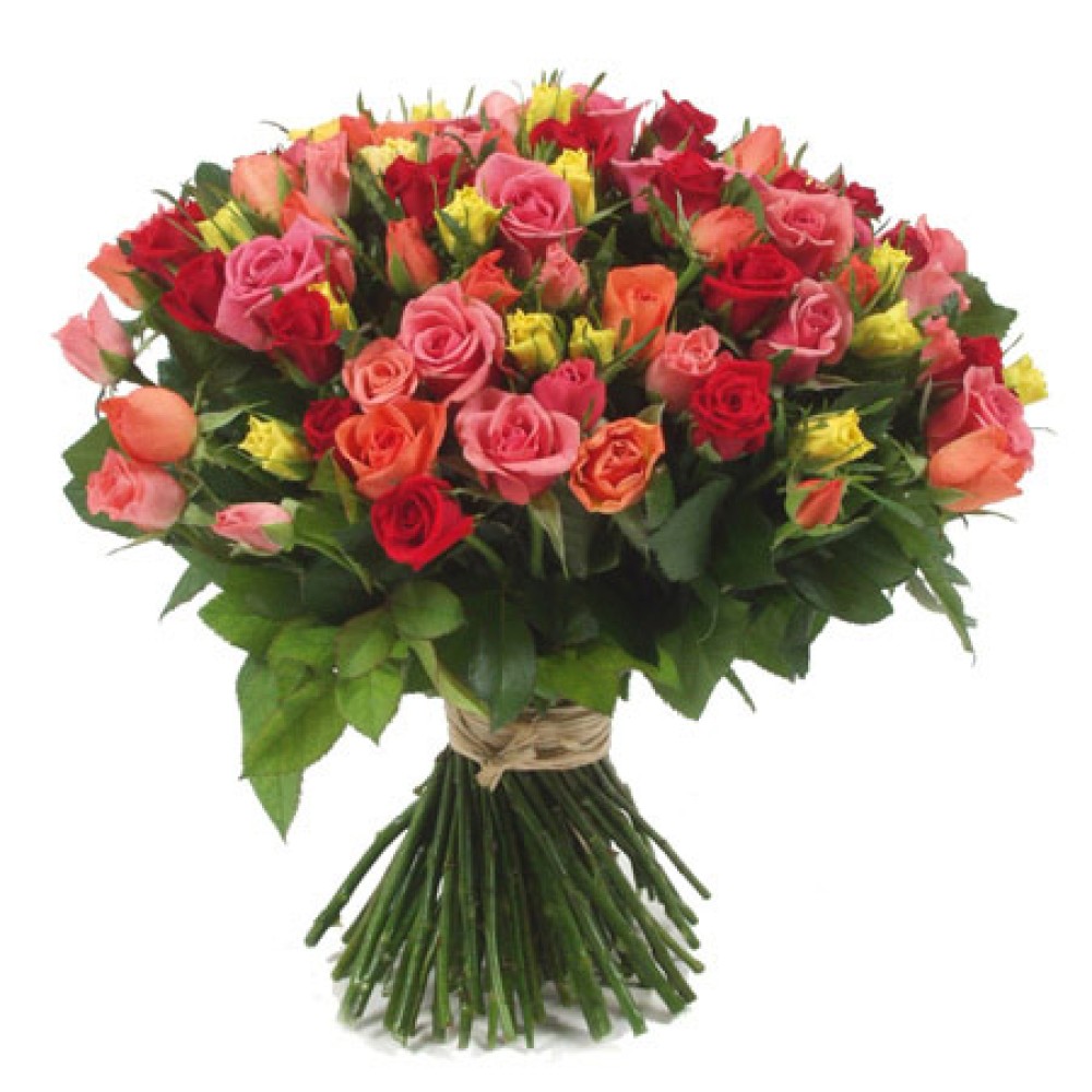 101 pcs Long Stemmed Fresh Cut Multi Colored Roses