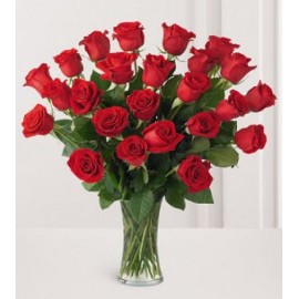 24 Long Stem Premium Rose Vase
