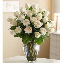 Three Dozen Premium White Roses in Vase
