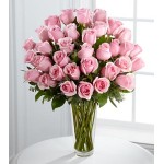 36 Soft Pink Roses