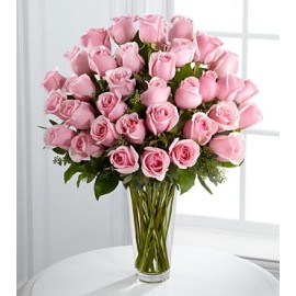 36 Soft Pink Roses