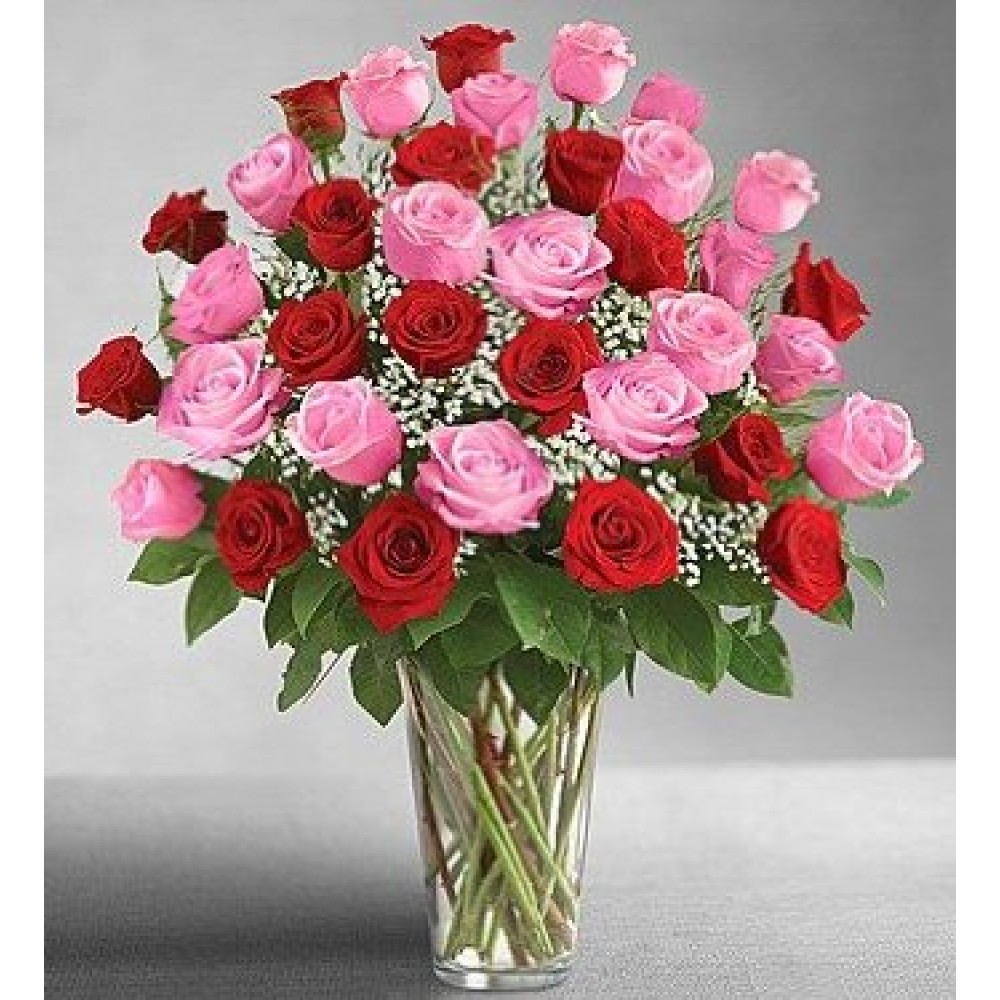 3 Dozen Long Stem Pink and Red Roses