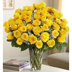 Four Dozen Premium Yellow Roses