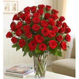 Four Dozen Premium Red Roses in Vase