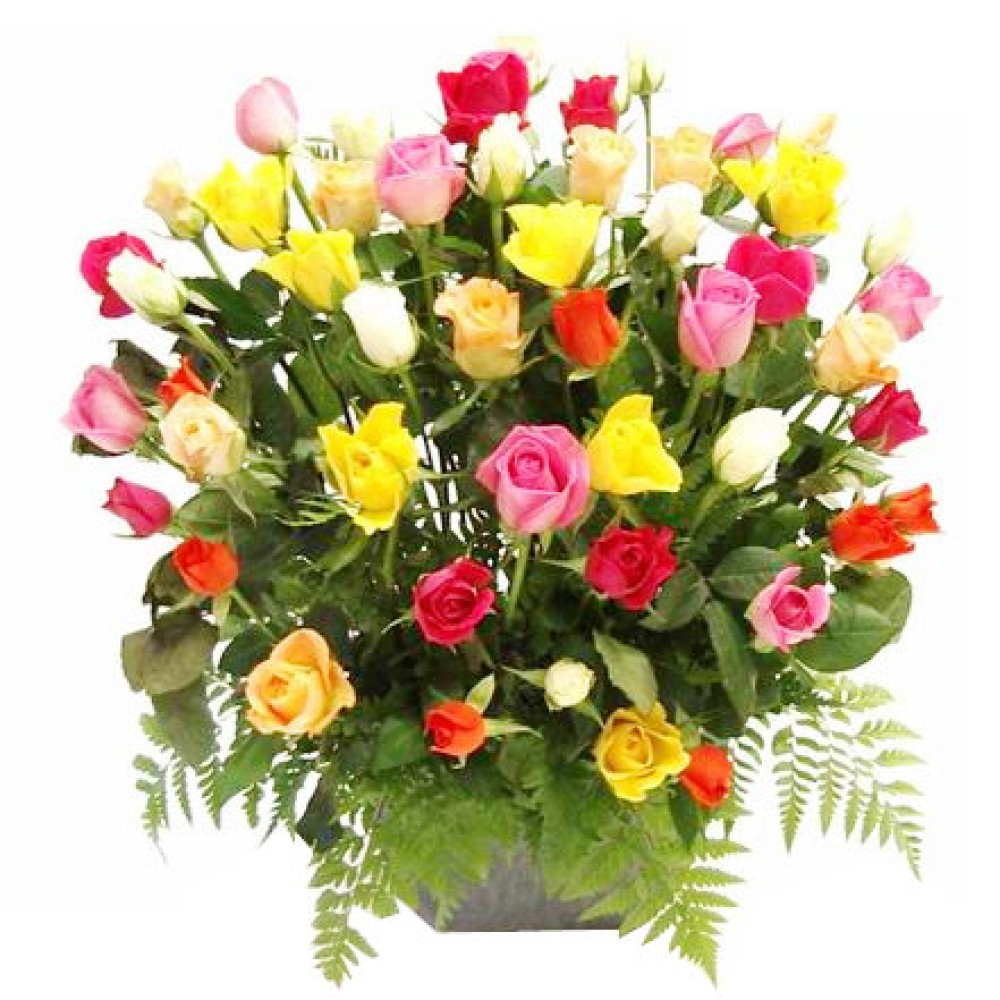 48 Assorted Roses Arrangement