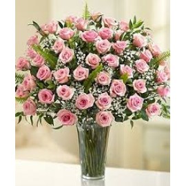 48 Long Stem Light Pink Roses