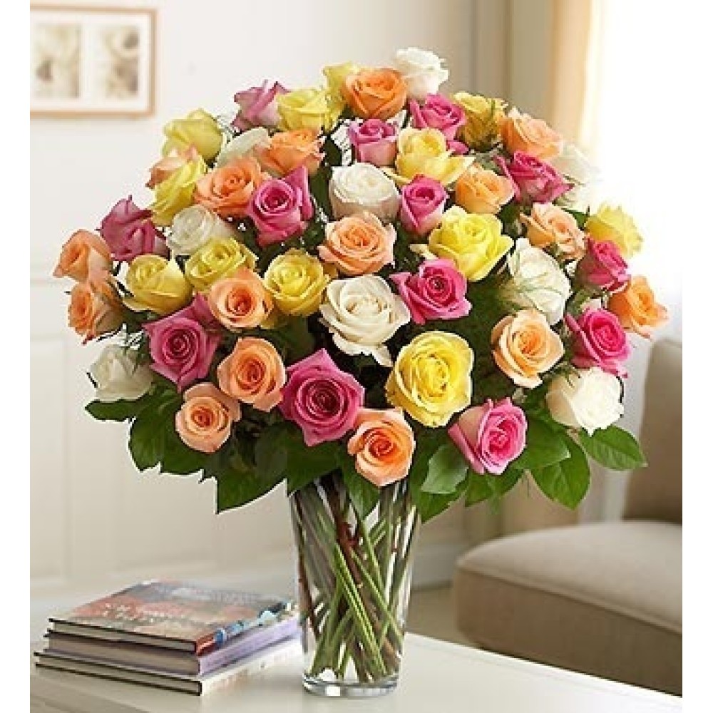 Four Dozen Premium Assorted Roses in Vase