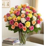 Four Dozen Premium Assorted Roses in Vase