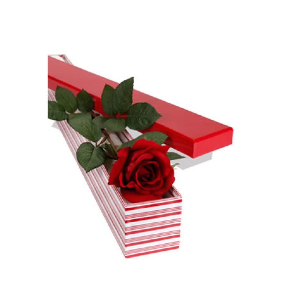 Long Stem Single Rose Presentation Box