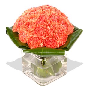 20 Orange Carnations