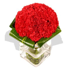 20 Red Carnations