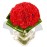 20 Red Carnations