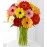 Colorful  Gerbera Daisy- 15 Stems
