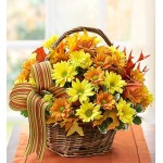 Fall Daisy Basket