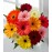 Colorful World Gerbera Daisy
