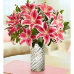 Stunning Pink Lily 