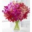 Tickled Pink Orchid