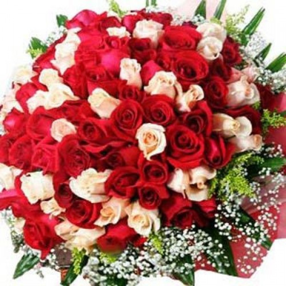 Bunch of 100  Light Pink & White Rose