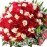 Bunch of 100  Light Pink & White Rose