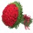 100 Romantic Red Roses