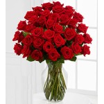 Five Dozen Premium Red Roses 