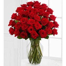 Five Dozen Premium Red Roses 