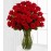 Five Dozen Premium Red Roses